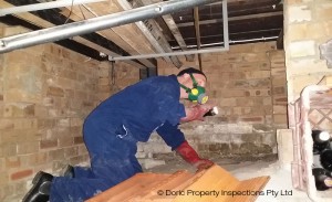 inspecting-under-house
